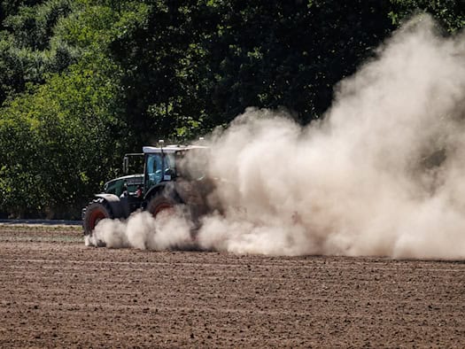 Bauernverband fordert halbe Milliarde und mehr für Landwirte