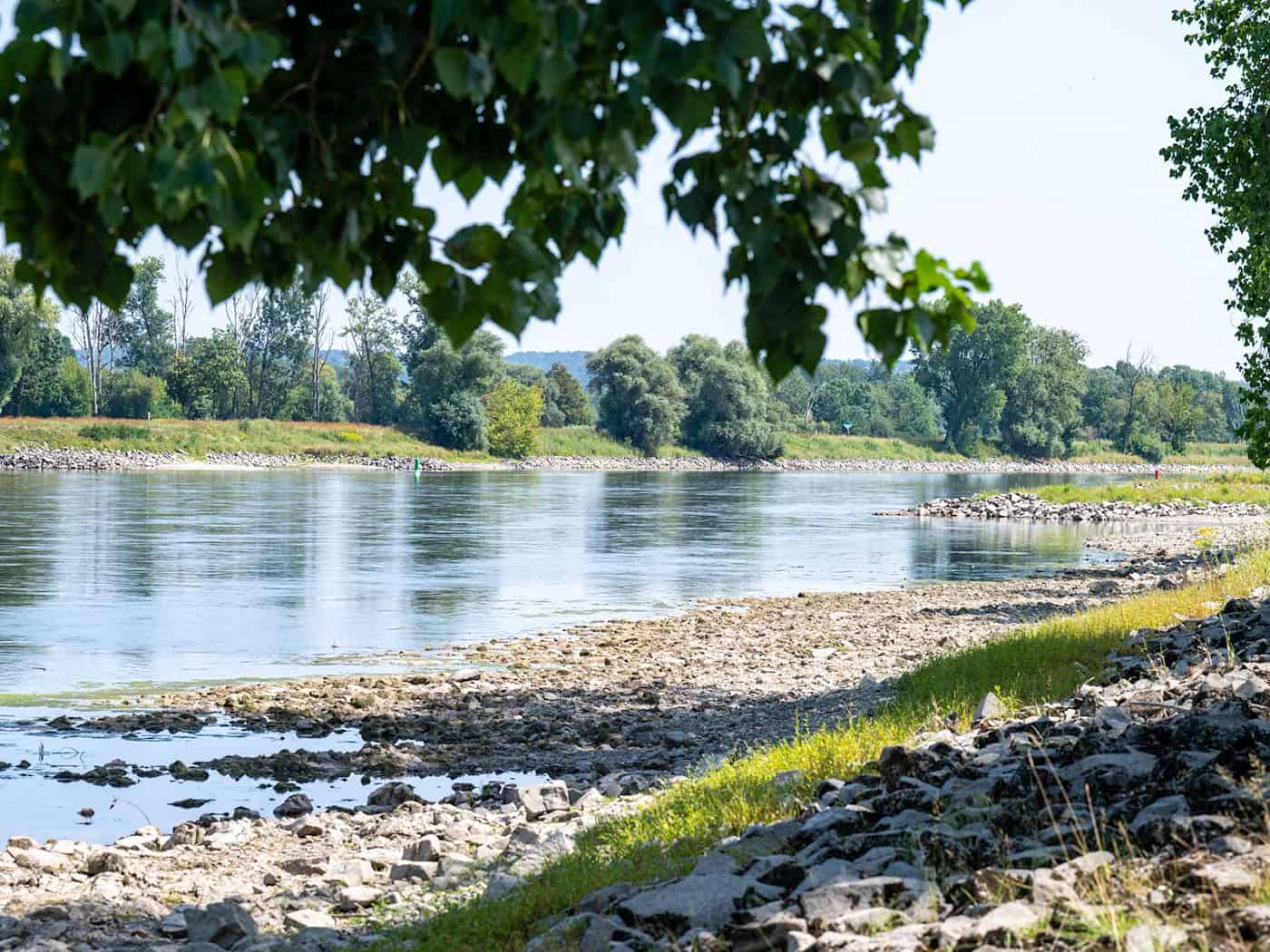 Trockenheit in Bayern: Grundwasser an 84 Prozent der Messstellen sehr niedrig