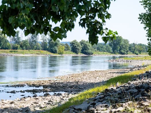 Bayern: Grundwasserstände wegen Hitze und ausbleibender Niederschläge auf Fünf-Jahres-Tief