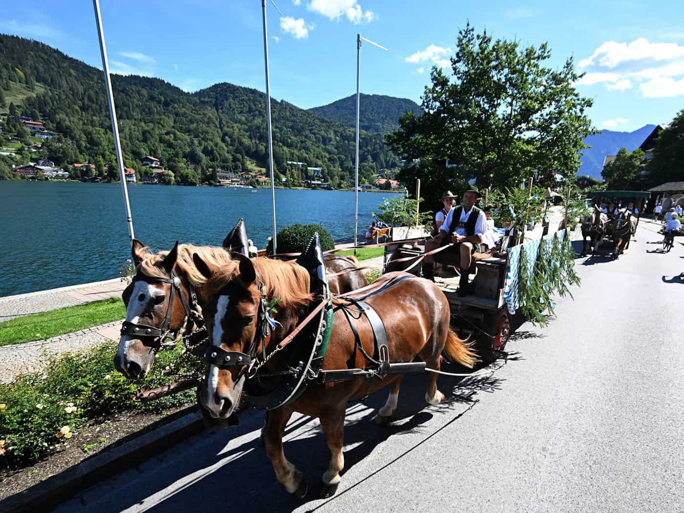 Das war beim Rosstag am Tegernsee geboten