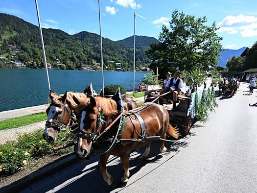 Das war beim Rosstag am Tegernsee geboten