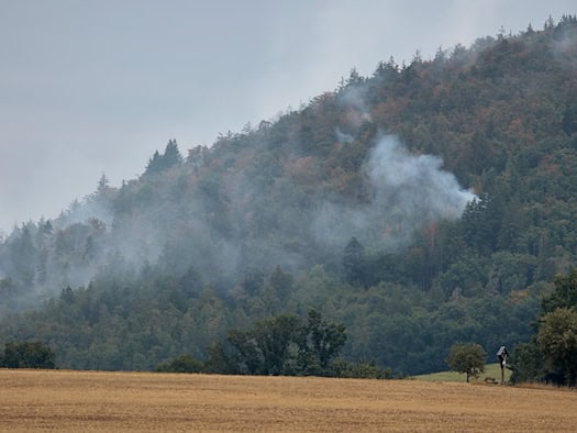 Feuerwehr kämpft gegen Waldbrände in Bayern