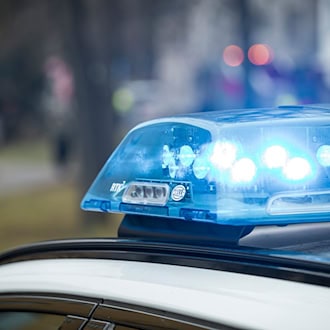 Forstarbeiter entdecken Teile von Skelett in Wald
