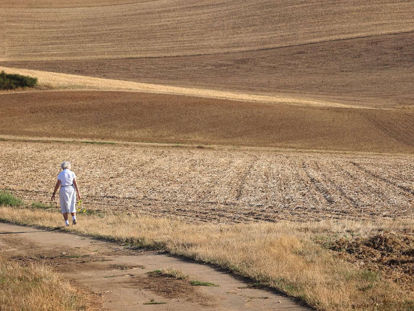 Hirse bis Erdnuss: Neue Hoffnung für Bayerns Landwirtschaft