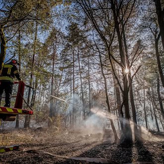 Löschhubschrauber stoppen Flammen-Ausbreitung in Bayern