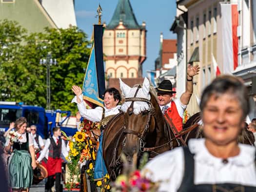 Straubing: Plastikkrokodil aus Geisterbahn gestohlen – zwei Männer angezeigt