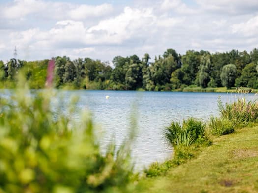Mit Stein und Hiebwaffe am Badesee – Polizei nimmt Mann fest