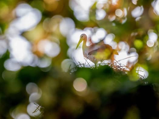 Zu Wochenbeginn viel Sonne in Franken und Südbayern, später mehr Wolken