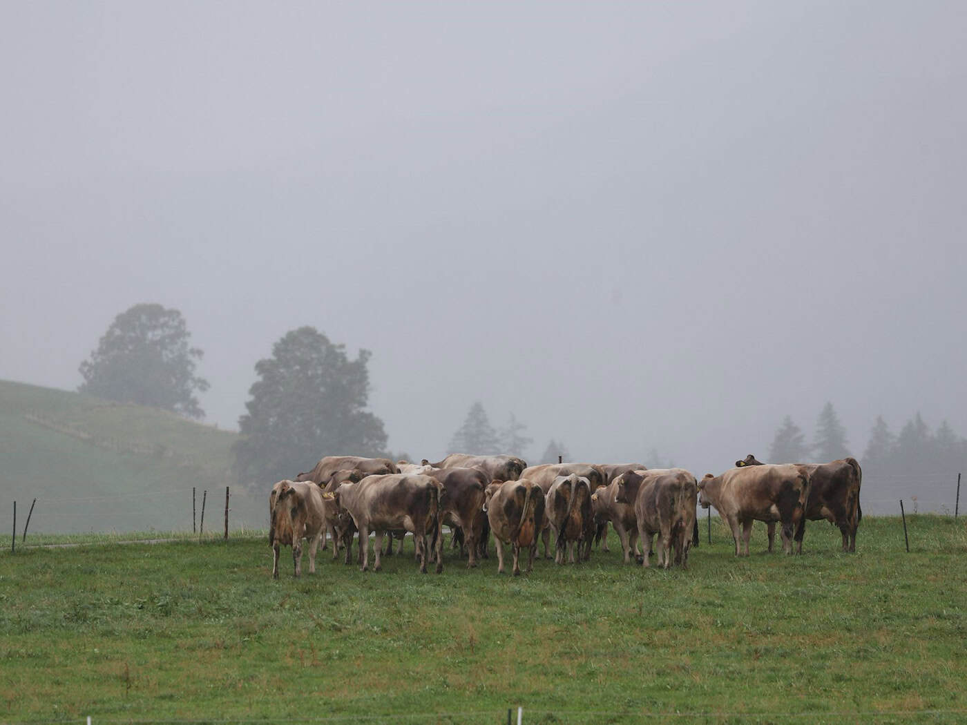 Wechselhaftes Bayern: Schauer, einzelne Gewitter und frischer Westwind
