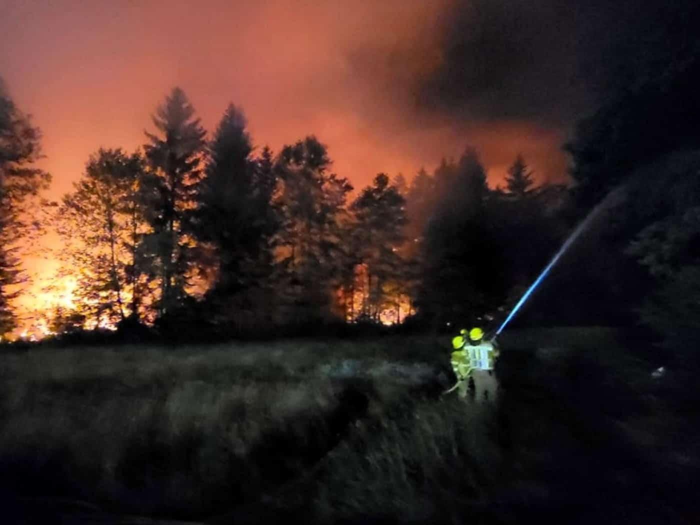 Wald brennt nahe der A93 - 500 Meter von Ortschaft entfernt