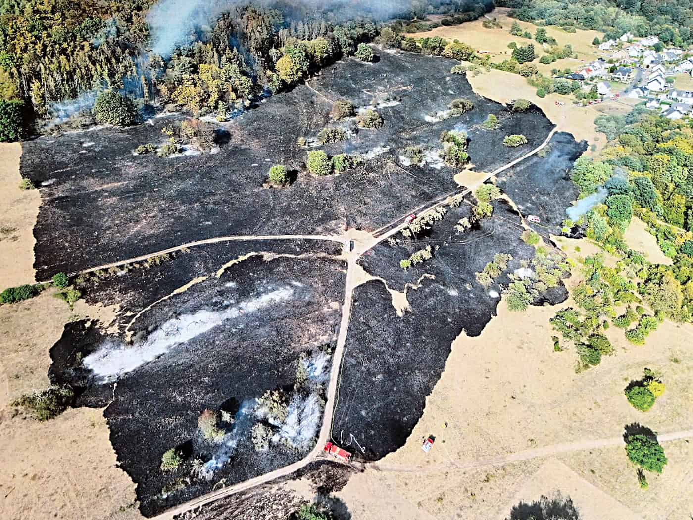 Wald- und Flächenbrand in Waldaschaff gelöscht