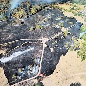 Wald- und Flächenbrand in Waldaschaff gelöscht