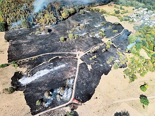 Wald- und Flächenbrand in Waldaschaff gelöscht