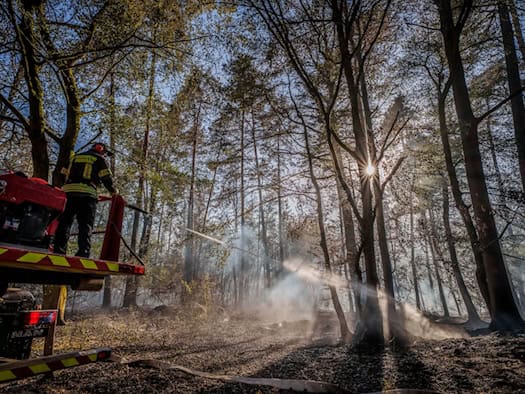 Waldbrand: Bürger sollen möglichst nicht duschen oder baden