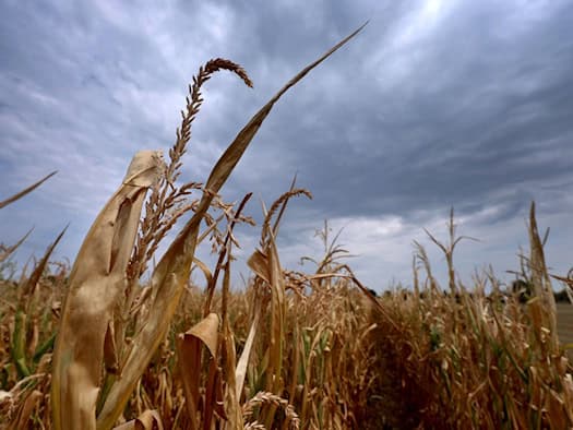 Bayern: Regen und Gewitter im Süden und Osten, Temperaturen 18–24 Grad