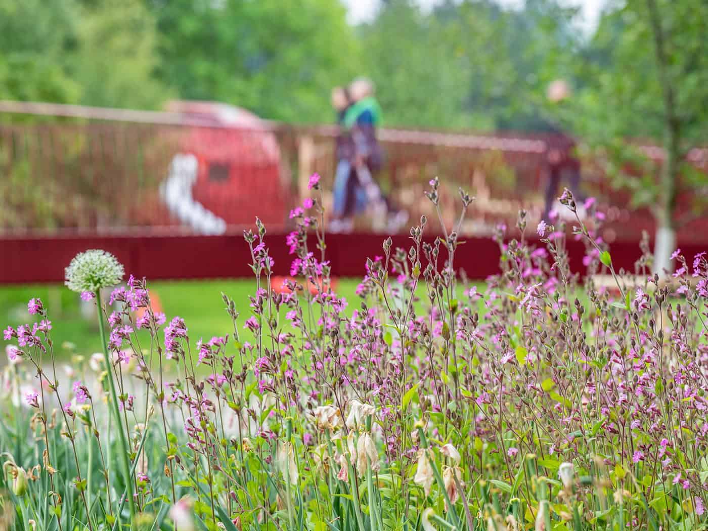 Bayern: Kommunen geben Landesgartenschauen und -ausstellungen zurück – SPD kritisiert Staatsregierung