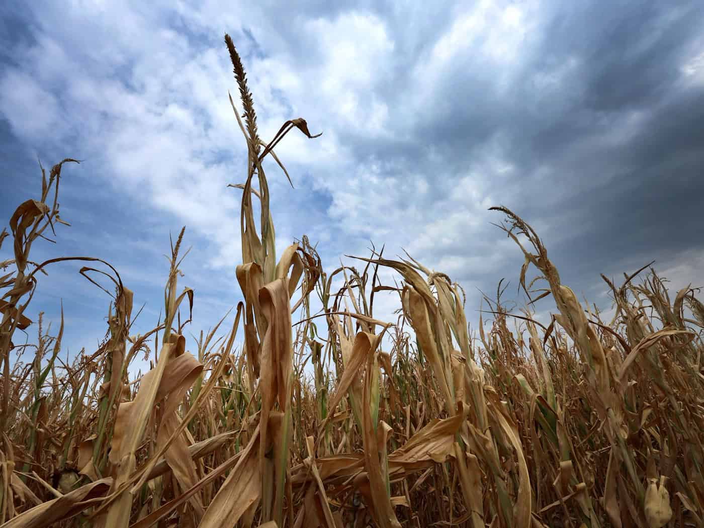 Jetzt amtlich: Sommer mit Hitzerekorden in Bayern