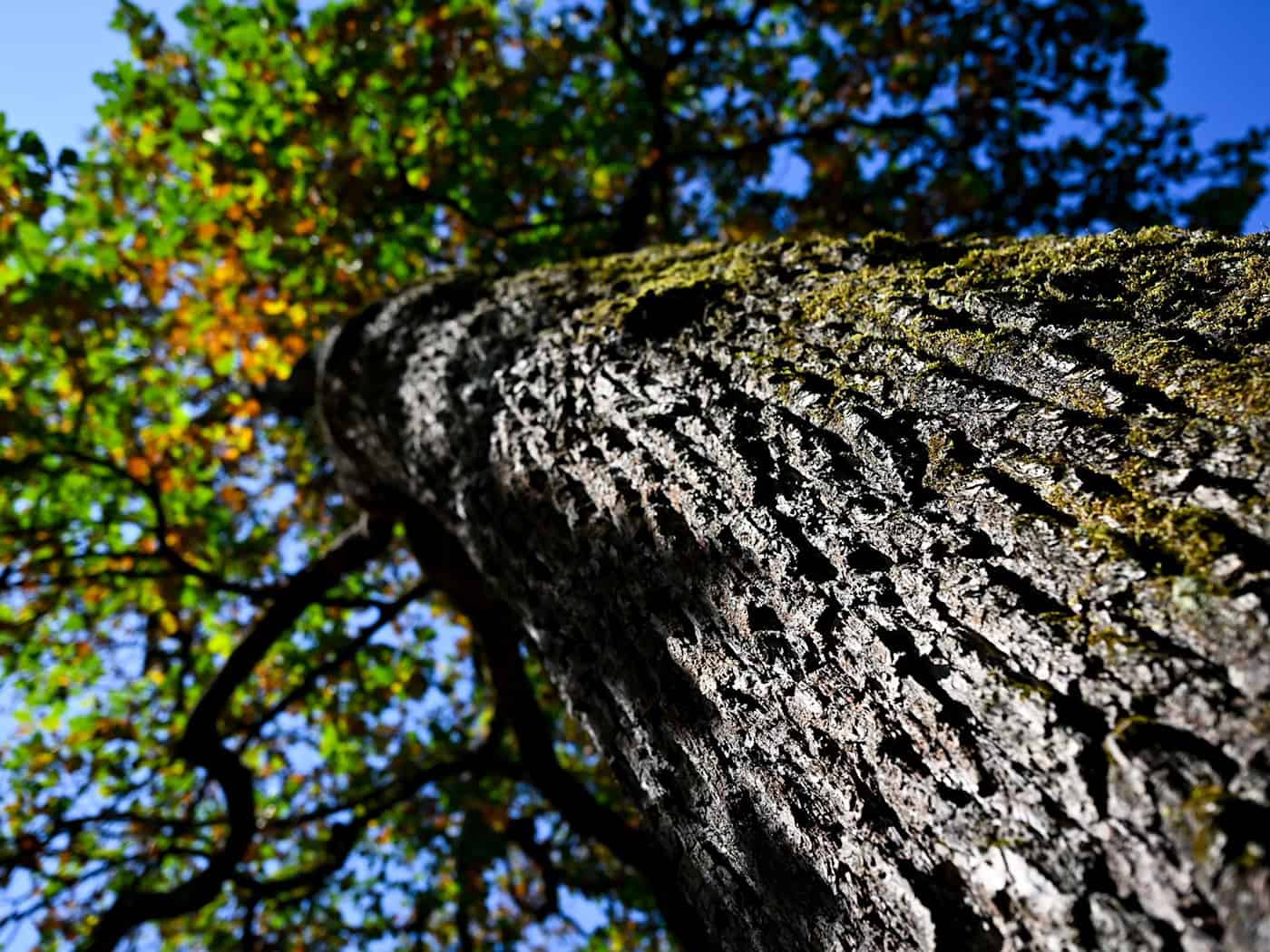 Milder Herbsttag mit Sonne
