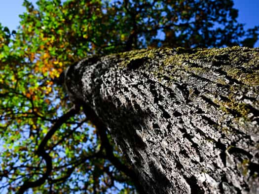 Milder Herbsttag mit Sonne
