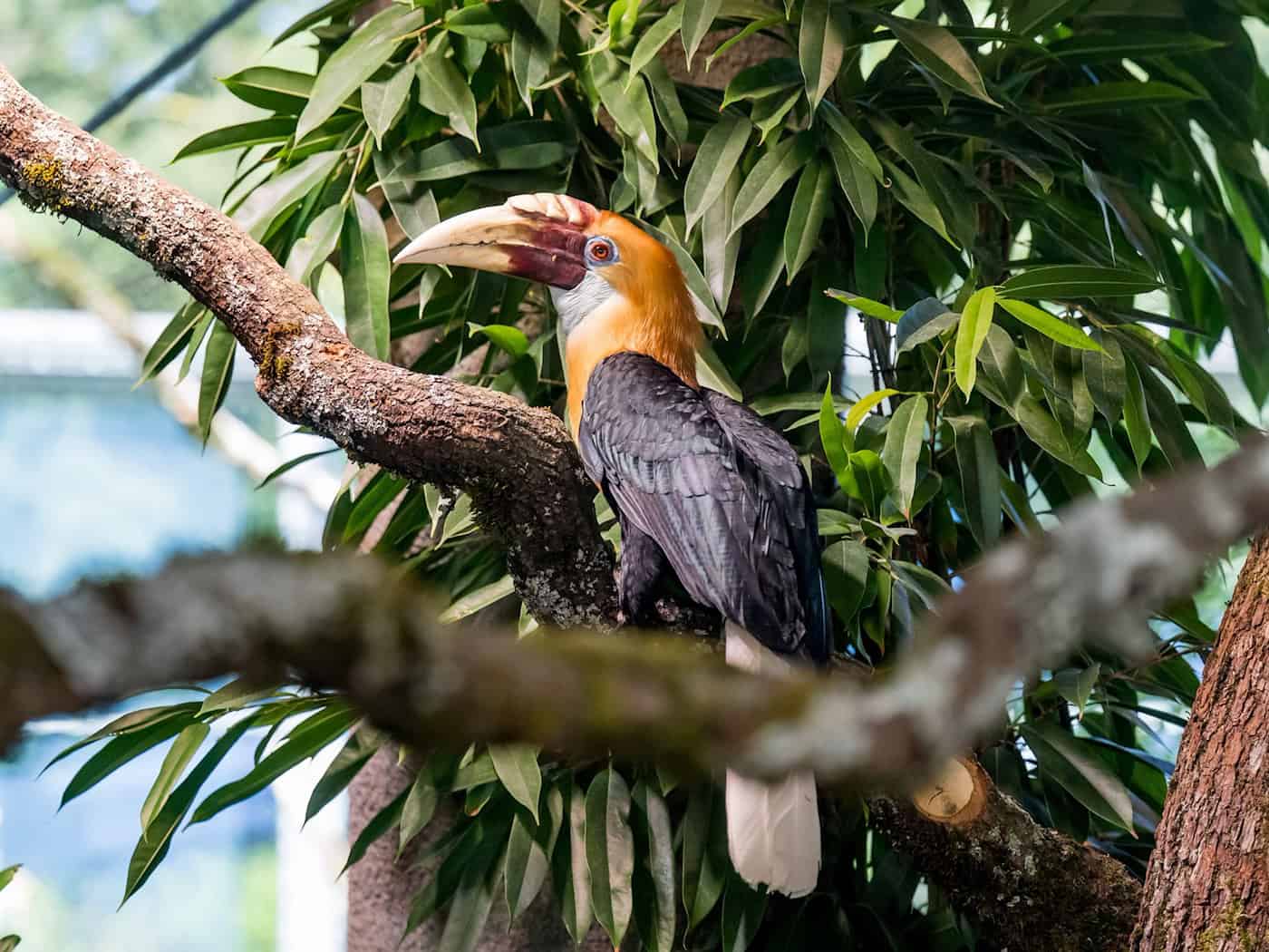 Tierpark Hellabrunn erhöht Eintrittspreise