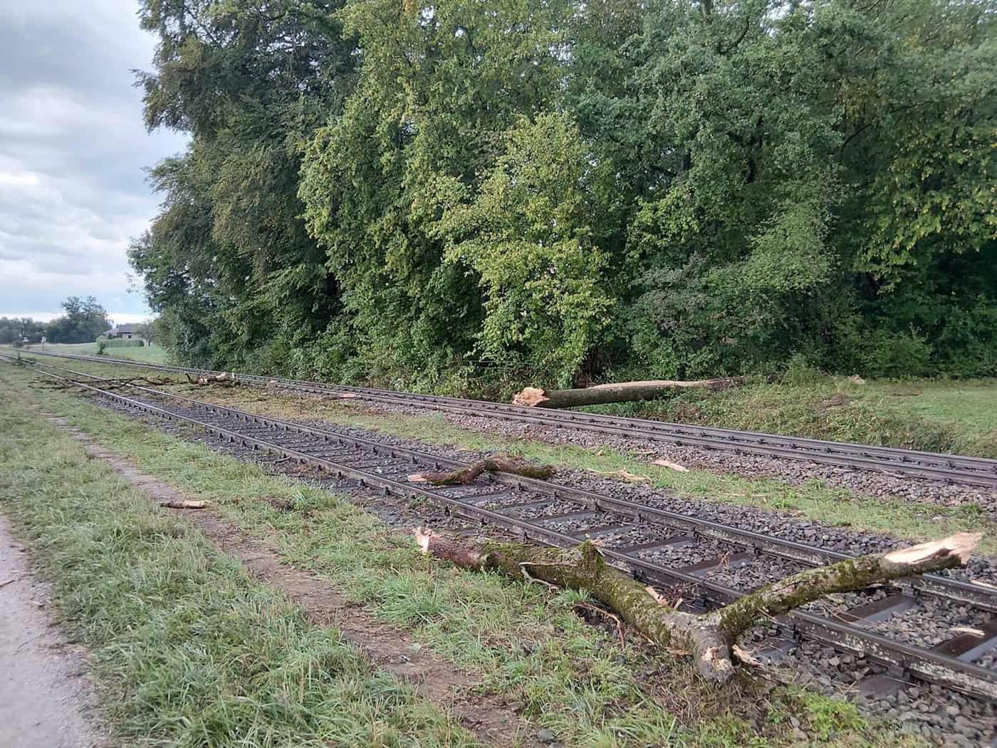 Zug entgleist nach Zusammenprall mit Baum - Streckensperrung