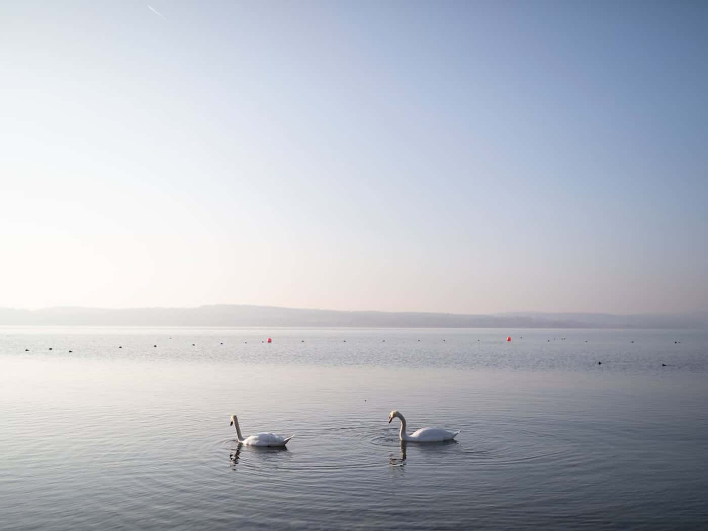 Bodensee ungewöhnlich warm: Höchste 1.-Oktober-Wassertemperatur in Bregenz seit mindestens 20 Jahren