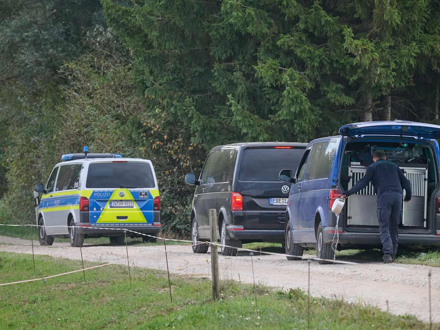 Keine Spur vom Puma - Hubschrauber und Reiter erfolglos