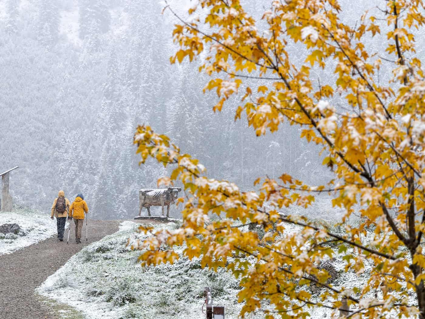 Regen, Gewitter und Sturm - Bayern erwartet nassen Sonntag