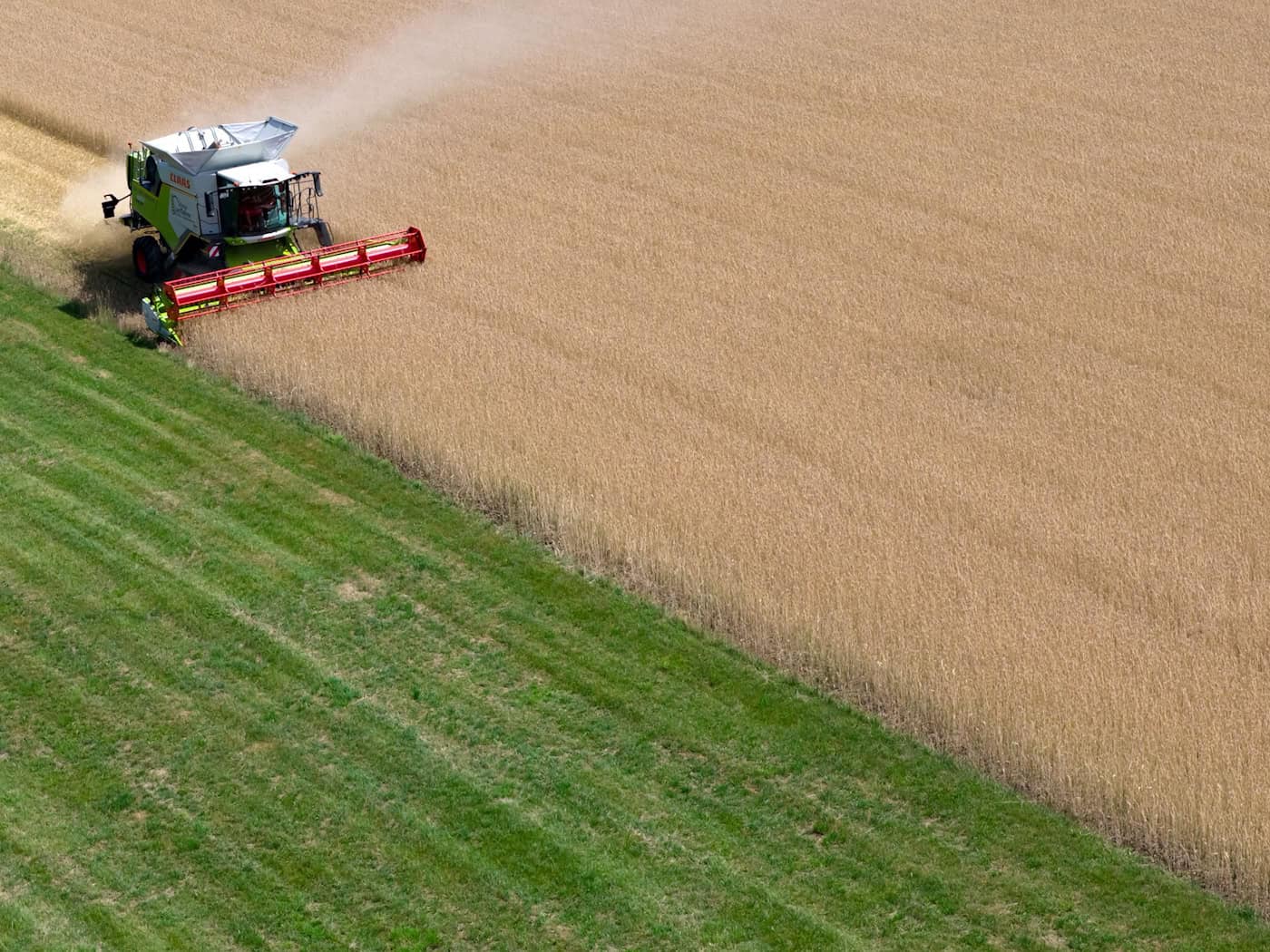 Erntedank in Bayern: Hitze und Trockenheit führen zu deutlichen Ernteverlusten bei Getreide und Kartoffeln