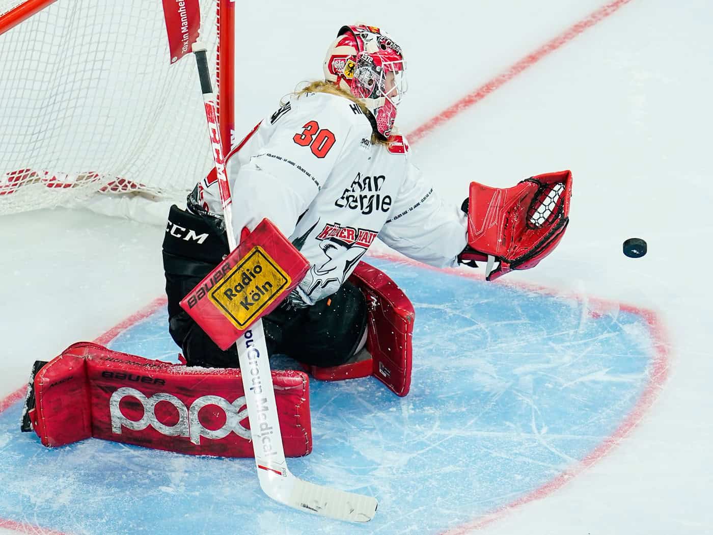 Straubing Tigers holen Torwart nach Verletzungsausfall