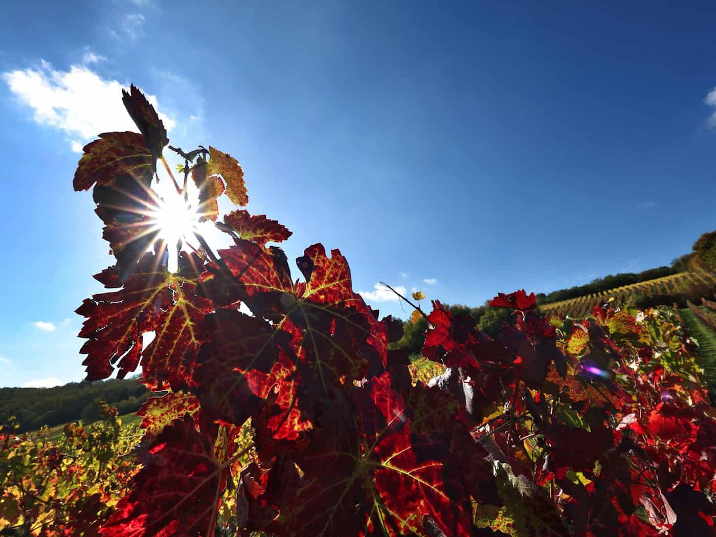 Viel Sonne und bestes Ausflugswetter an den Alpen