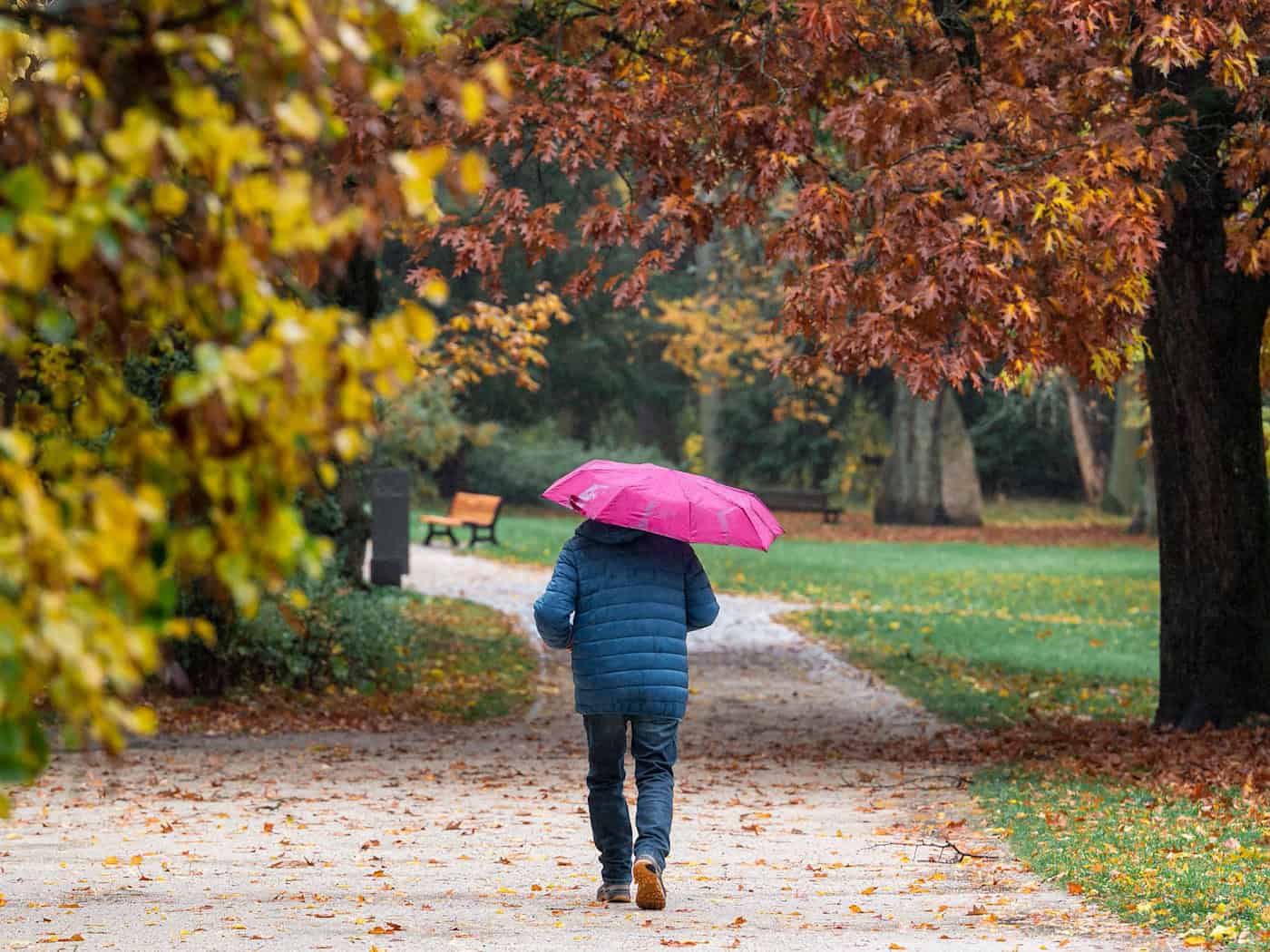 Wetterumschwung in Bayern: Regen und kältere Temperaturen – bis 15 Grad in Aschaffenburg