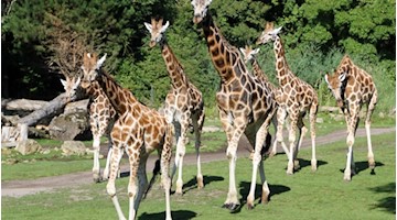 Zoo Leipzig