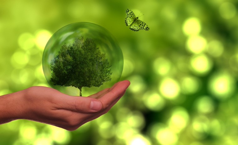 Symbolbild Nachhaltigkeit / pixabay