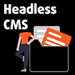 Kopfsprung in den Fachwort-Pool: Was ist ein Headless CMS?
