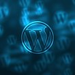WordPress für Unternehmen, Alternative