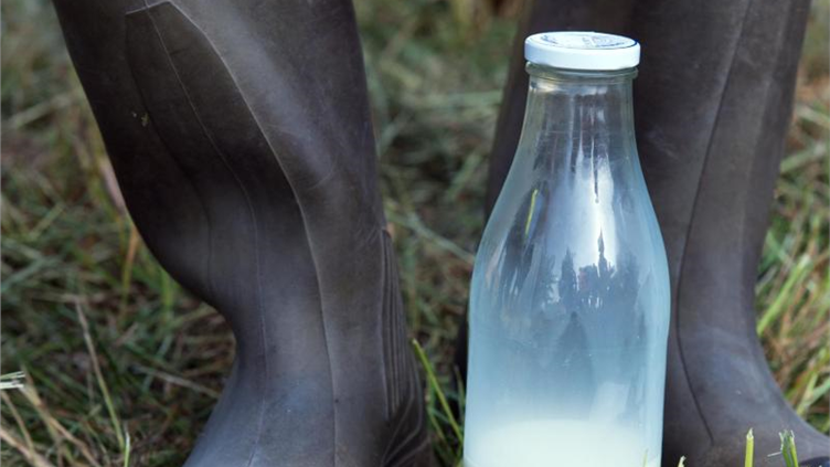 Neue Vertragsmodelle für Milchbauern gefordert