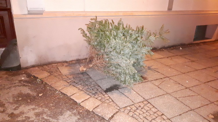 Entsorgung der Weihnachtsbäume im Landkreis Görlitz