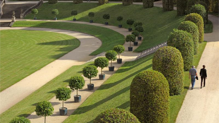 Barockgarten Großsedlitz erblüht nach Sanierung