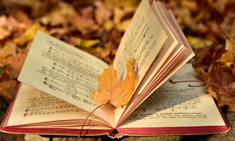 Symbolbild Herbstzeit / pixabay ulleo