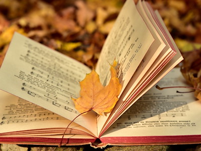 Symbolbild Herbstzeit / pixabay ulleo