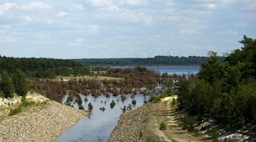 dpa / Arno Burgi