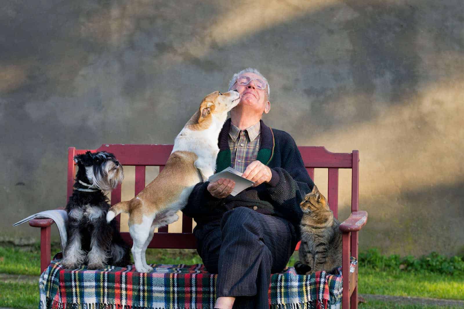 Senior sitzt mit Katze und Hunden auf Bank