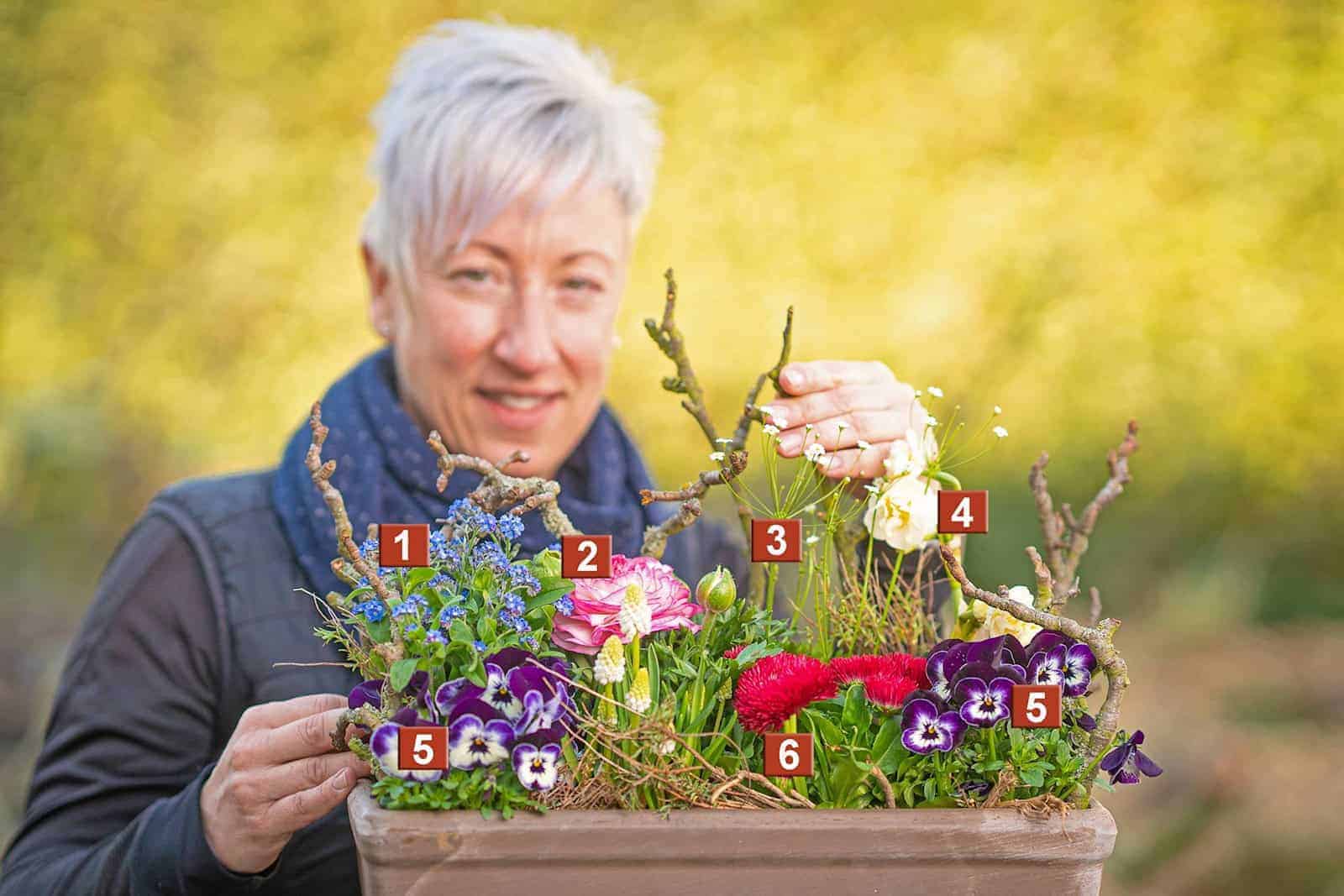 Frühjahrsbepflanzung