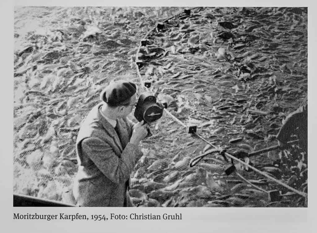 Ernst Hirsch beim Karpfendreh