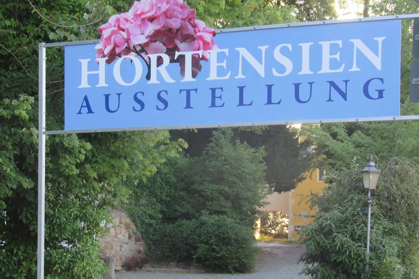 Hortensienschau Zuschendorf