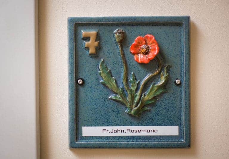 Türbild mit Mohn auf blauem Untergrund.