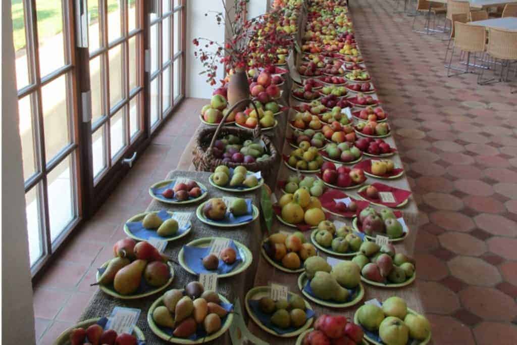 einen langen Tisch mit Schalen Obst auf ihm