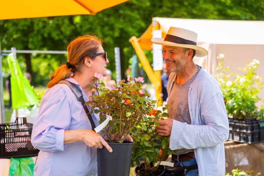 Rosenverkauf beim Pillnitzer Gartenwochenende.