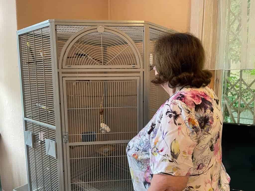 Senioren beobachtet Vögel in der Voliere